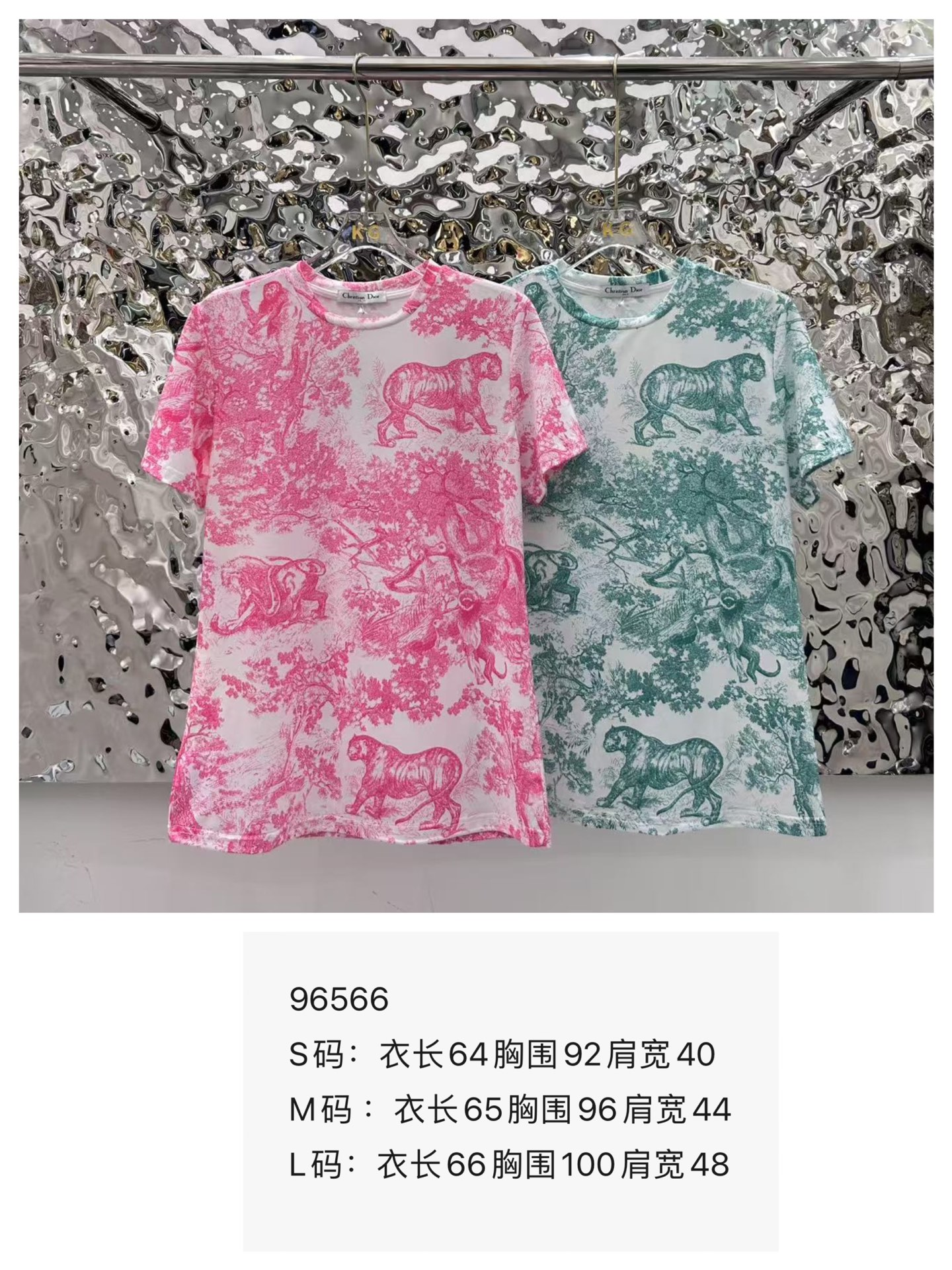 Pasted Image
