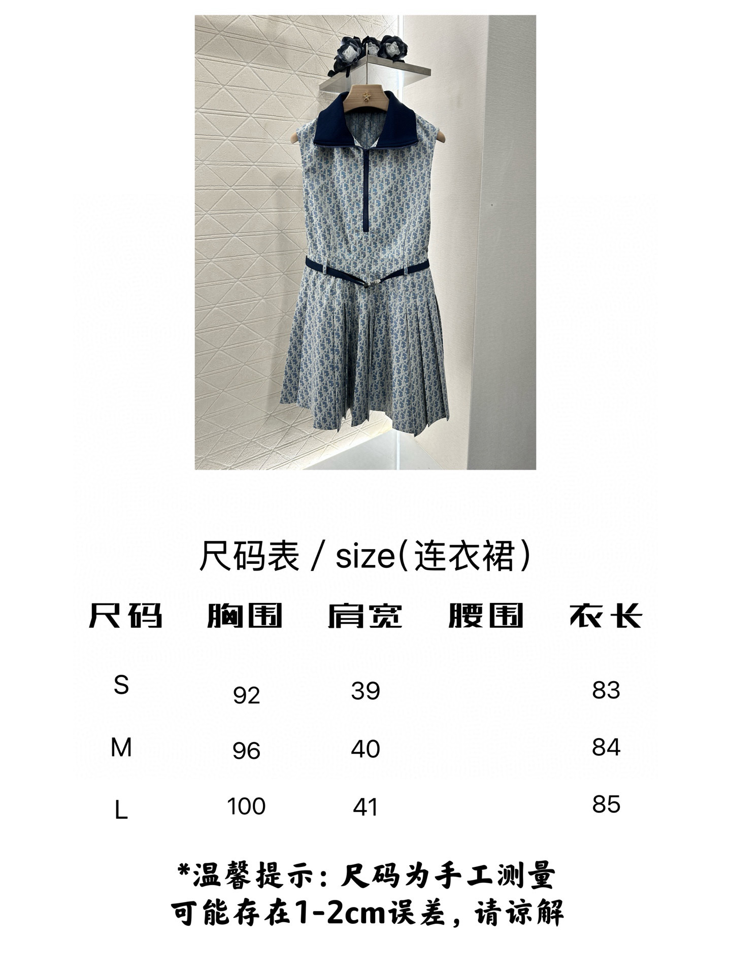 Pasted Image