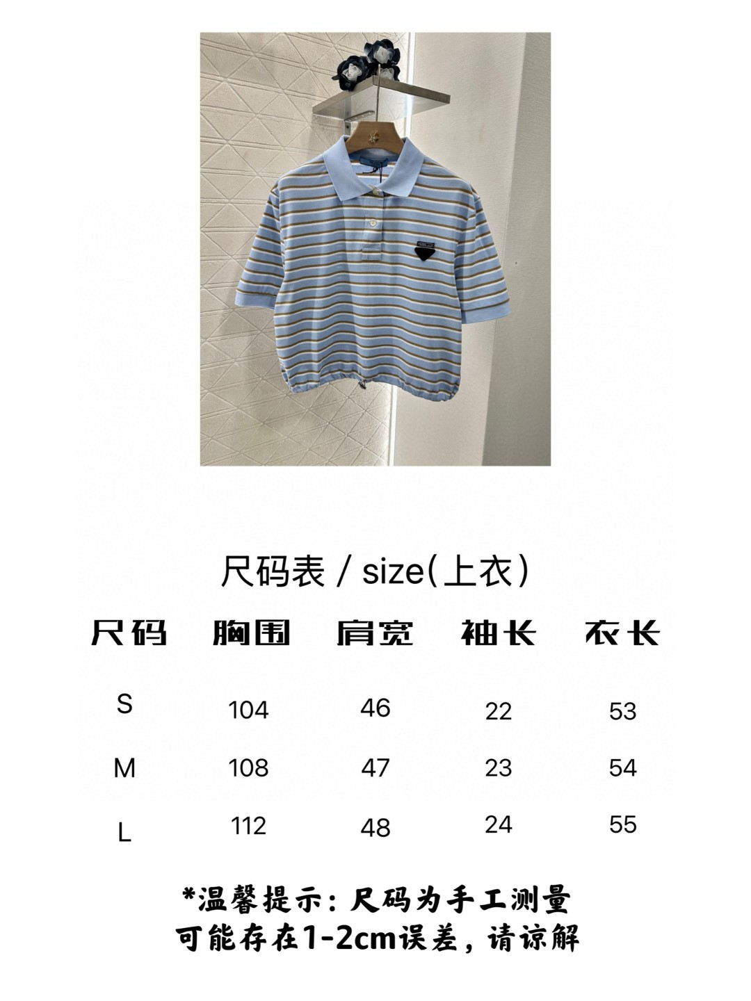Pasted Image
